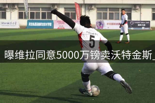 曝维拉同意5000万镑卖沃特金斯 从切尔西6500万镑引进杰克逊